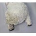 Large Michel Taillis Automated Sleeping Polar Bear