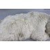 Large Michel Taillis Automated Sleeping Polar Bear