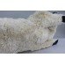 Large Michel Taillis Automated Sleeping Polar Bear