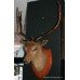 Mounted Taxidermy Stag's Head