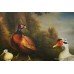 Large Dutch Golden Age Style Birds Painting 