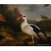 Large Dutch Golden Age Style Birds Painting 