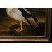 Large Dutch Golden Age Style Birds Painting 
