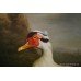 Large Dutch Golden Age Style Birds Painting 