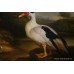 Large Dutch Golden Age Style Birds Painting 