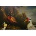 Large Dutch Golden Age Style Birds Painting 