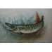 Signed Harry Davis Watercolour "Pike"