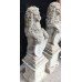 Pair of Old Reconstituted Lion Statues on Plinths