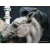 Pair of Painted Composite Stone Horse Bust Sculptures Gateposts