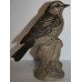 Poole Pottery Stoneware Thrush Bird