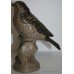 Poole Pottery Stoneware Thrush Bird
