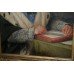 Antique Portrait University Dean Oil on Board