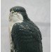 Royal Doulton "Peregrine Falcon" Beneagles Bird