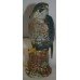 Royal Doulton "Peregrine Falcon" Whyte & Mackay Bird