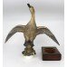 Royal Worcester American Pintail by Ronald van Ruyckevelt