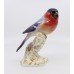 Royal Worcester Bird Bullfinch 2662