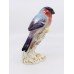 Royal Worcester Bird Bullfinch 2662