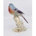 Royal Worcester Bird Bullfinch 2662