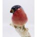 Royal Worcester Bird Bullfinch 2662