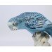 Royal Worcester Bird Blue Budgerigar 2664