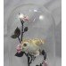 Royal Worcester Bronze & Porcelain "Barn Owl" (Domed)