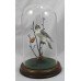 Royal Worcester Bronze & Porcelain "Peregrine Falcon" (Domed)