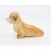 Royal Worcester Dog Dandie Dinmont Terrier #2943 1941