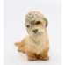 Royal Worcester Dog Dandie Dinmont Terrier #2943 1941