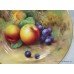 Royal Worcester Hand Painted Fruit Plate by Price