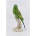 Royal Worcester Bird Green Budgerigar 2663