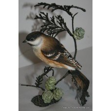 Royal Worcester "Marsh Tit" British Birds on Bronze