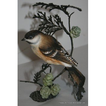 Royal Worcester "Marsh Tit" British Birds on Bronze