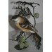 Royal Worcester "Marsh Tit" British Birds on Bronze
