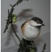 Royal Worcester "Marsh Tit" British Birds on Bronze