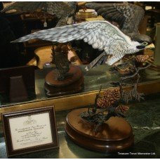 Royal Worcester Ornamental Studio Porcelaian & Bronze Peregrine Falcon