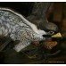 Royal Worcester Ornamental Studio Porcelaian & Bronze Peregrine Falcon
