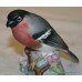 Royal Worcester Bird "Bullfinch" 3238