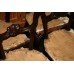 Set of 4 Carved Crested 19th c. Chairs