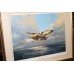 Signed Limited Edition Framed Print "Operation Desert Storm 1991" Frank Wootton