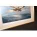 Signed Limited Edition Framed Print "Operation Desert Storm 1991" Frank Wootton