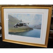 Signed Limited Edition Gerald Coulson "High Speed Intrusion" Tornados Print