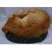 Victorian Taxidermy Fox on Leather Cushion