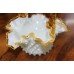Victorian Amber & Milk Glass Scalloped Handled Basket