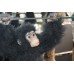 Vintage Animated Swinging Chimpanzee Monkey 