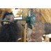 Vintage Animated Swinging Chimpanzee Monkey 