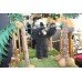 Vintage Animated Swinging Chimpanzee Monkey 