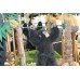 Vintage Animated Swinging Chimpanzee Monkey 