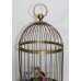 Vintage Caged Mechanical Wind-up Singing Bird