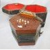 Vintage Wooden Concertina in Carrying Case